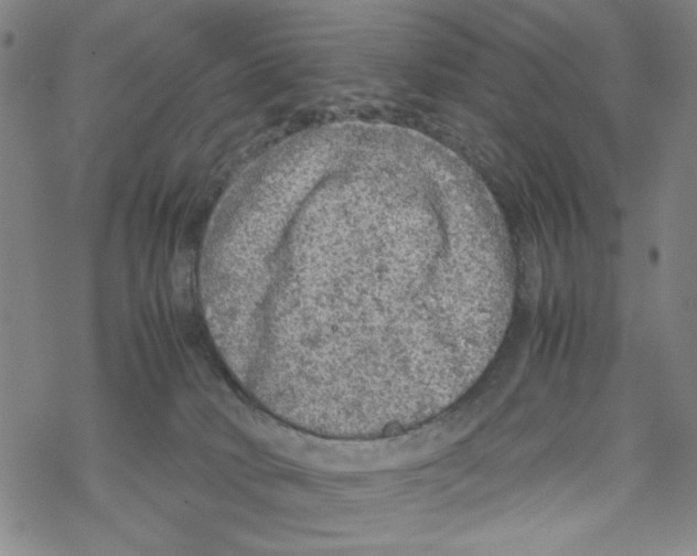 X0000067910034200605111954