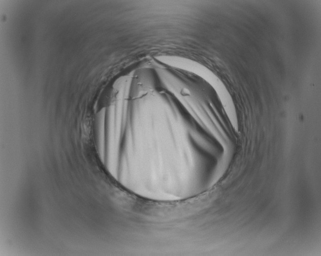 X0000067910037200605111954