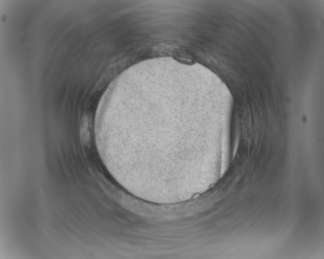 X0000067910038200605111954