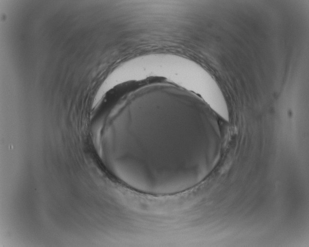 X0000067910039200605111954