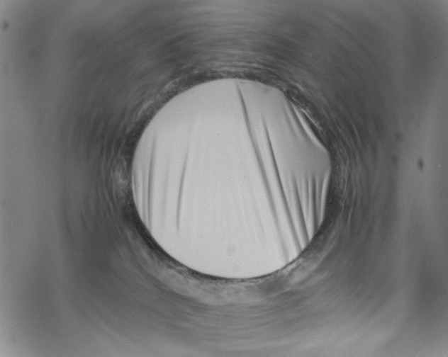 X0000067910040200605111954