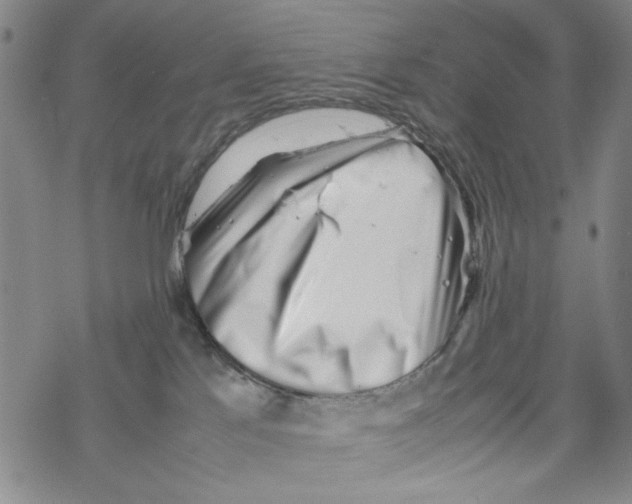 X0000067910041200605111954