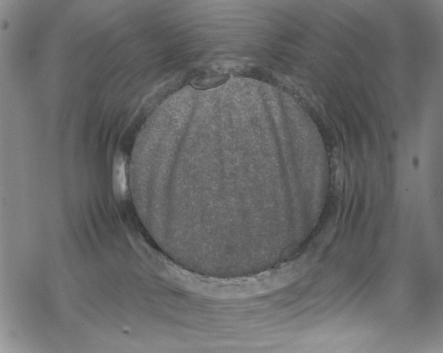 X0000067910042200605111954