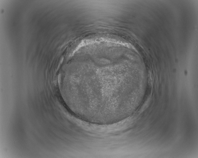 X0000067910043200605111954