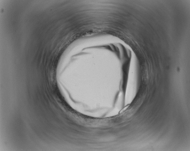 X0000067910044200605111954