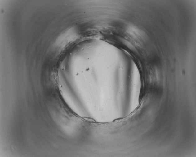 X0000067910045200605111954