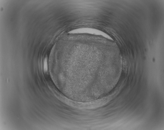 X0000067910046200605111954