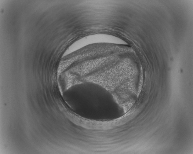 X0000067910048200605111954