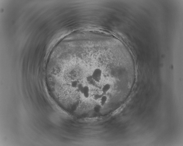 X0000067910049200605111953