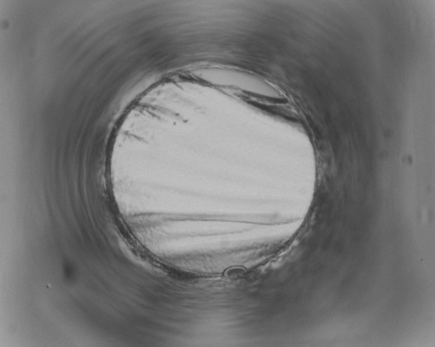 X0000067910050200605111953