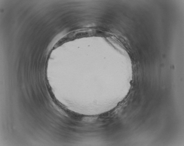 X0000067910051200605111953