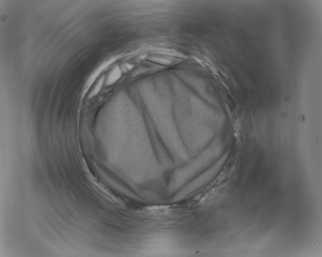 X0000067910052200605111953