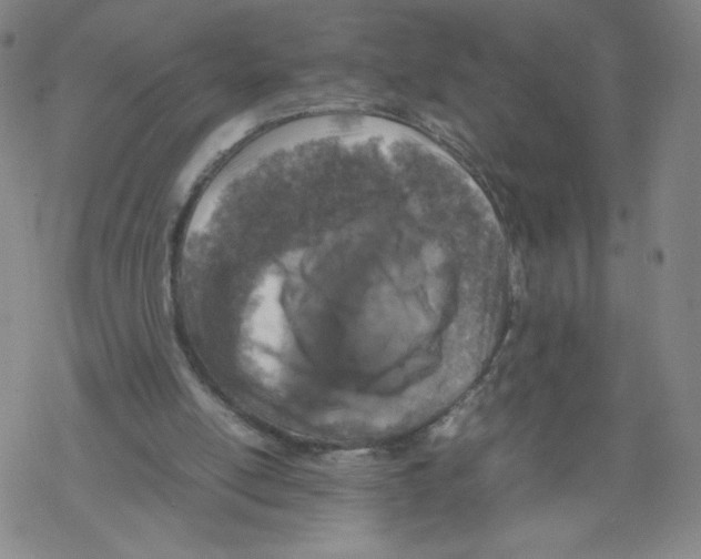 X0000067910054200605111953