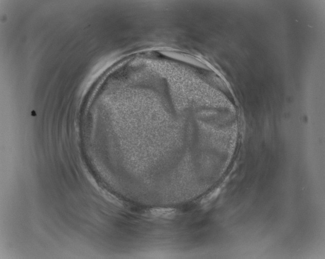 X0000067910055200605111953