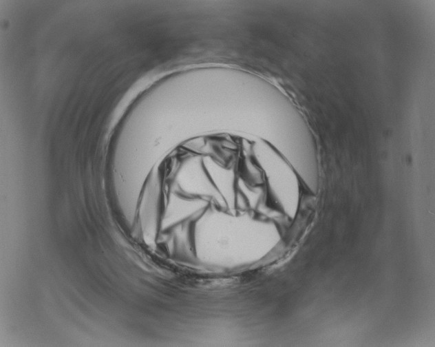 X0000067910056200605111953