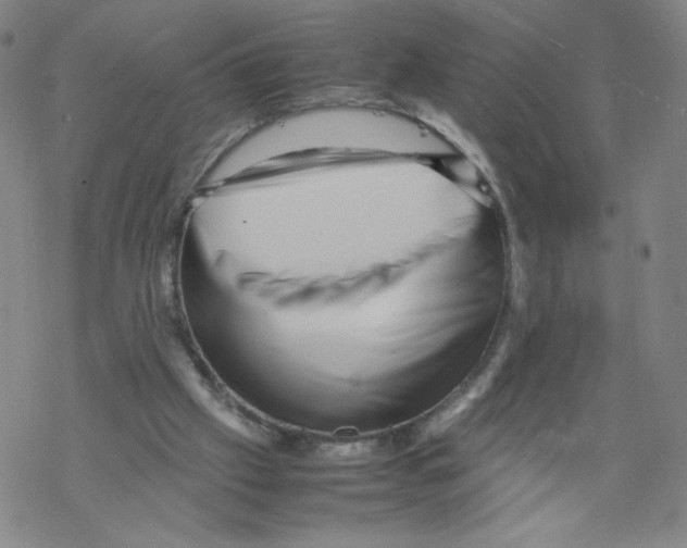 X0000067910057200605111953