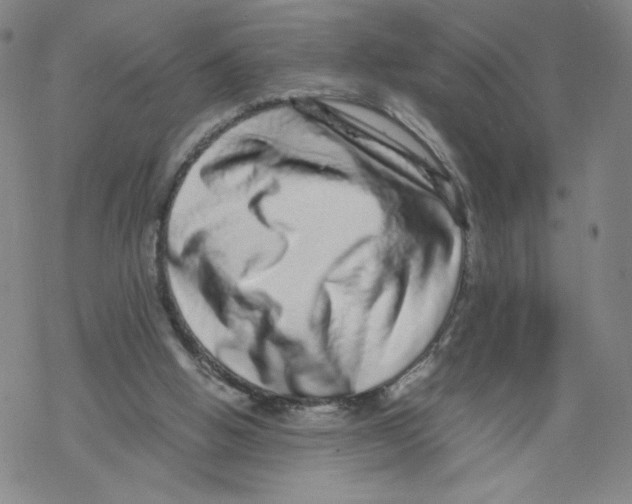 X0000067910058200605111953