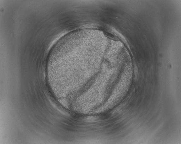 X0000067910059200605111953