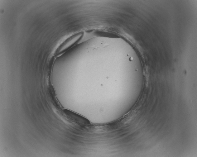 X0000067910060200605111953