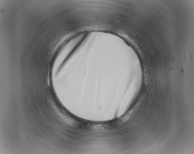 X0000067910062200605111953