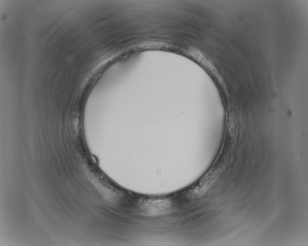 X0000067910063200605111953