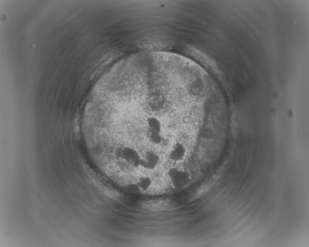 X0000067910065200605111953