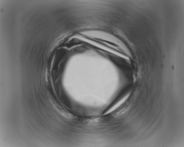 X0000067910068200605111953