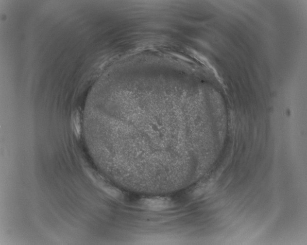 X0000067910069200605111953