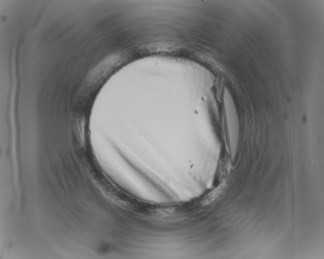 X0000067910070200605111953