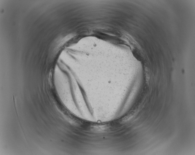 X0000067910071200605111953