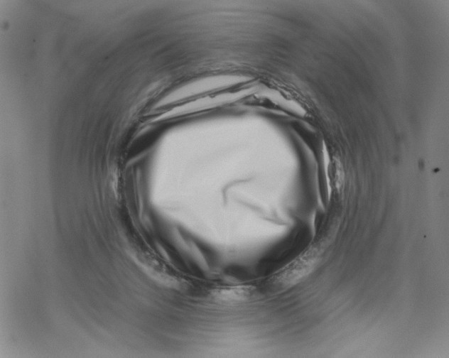 X0000067910072200605111953