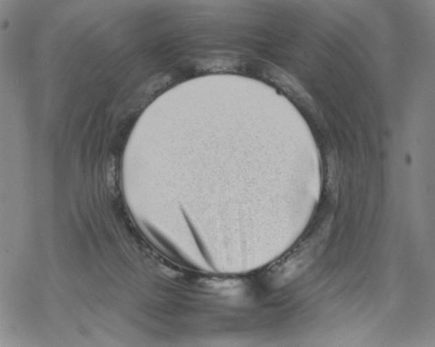 X0000067910073200605111953