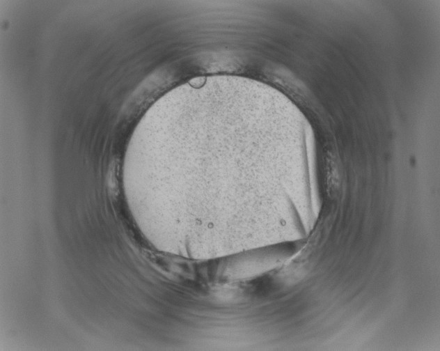 X0000067910074200605111953