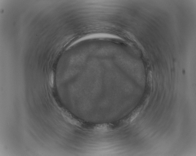 X0000067910076200605111953