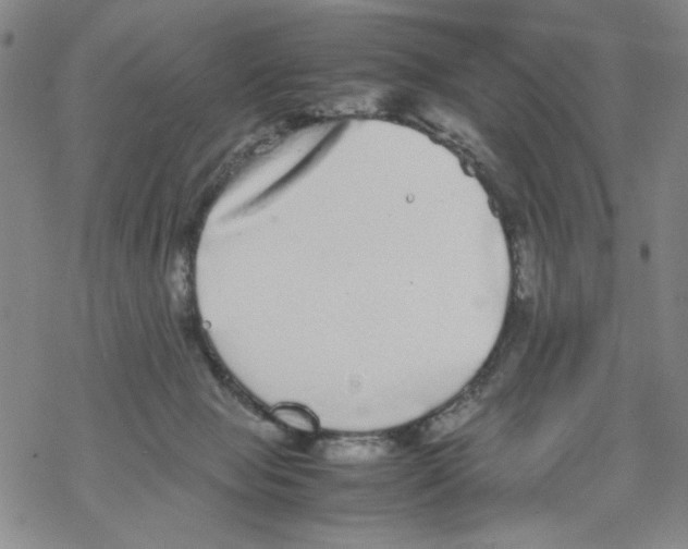 X0000067910077200605111953