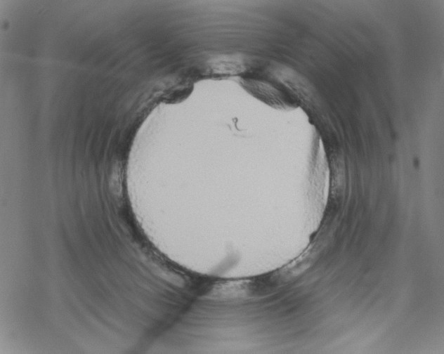 X0000067910078200605111953