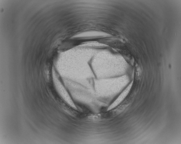 X0000067910080200605111954