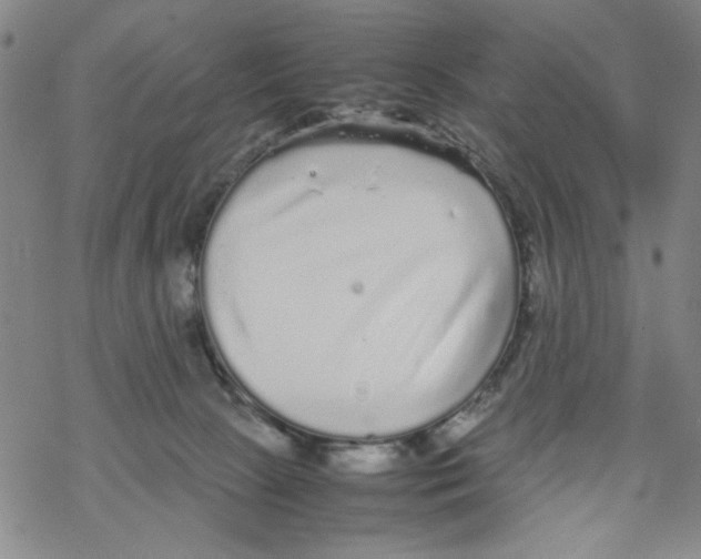 X0000067910081200605111954