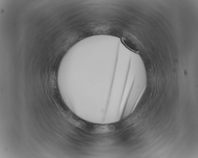 X0000067910083200605111954