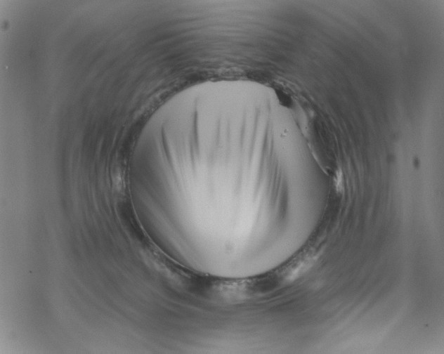 X0000067910084200605111954