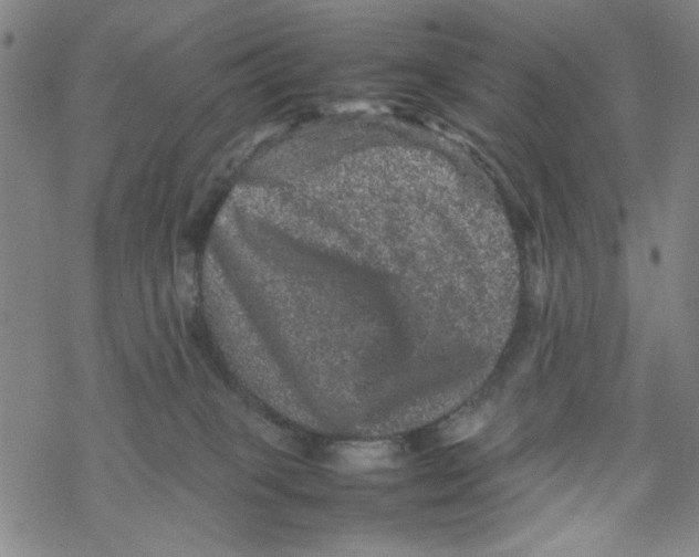 X0000067910085200605111954