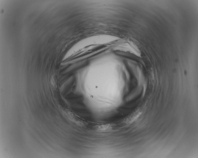 X0000067910088200605111954