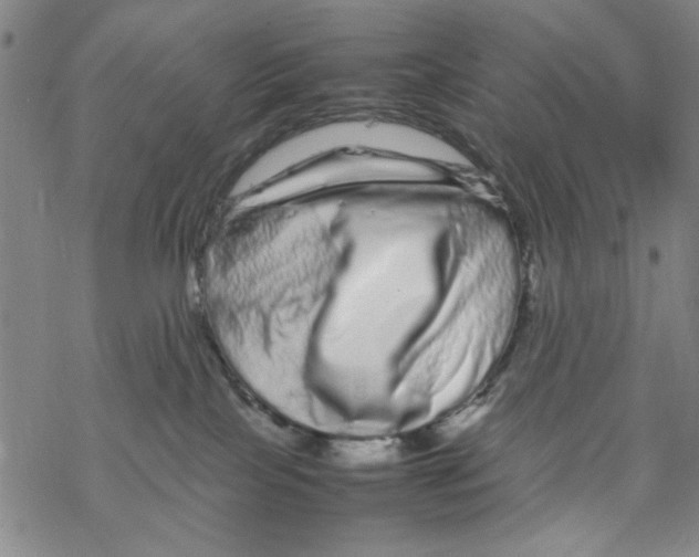 X0000067910089200605111954