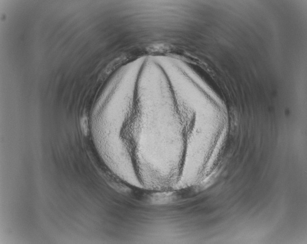 X0000067910090200605111954