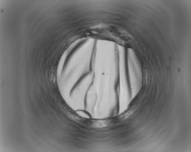 X0000067910091200605111954