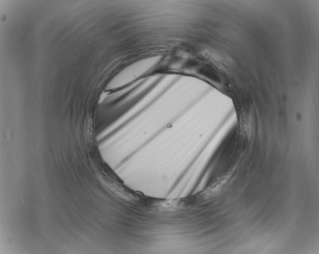 X0000067910092200605111954