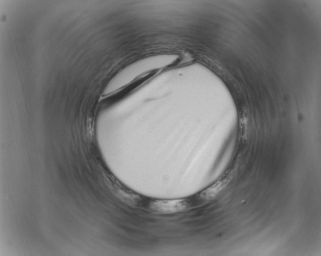 X0000067910093200605111954