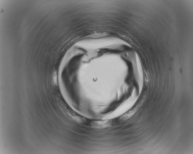 X0000067910095200605111954