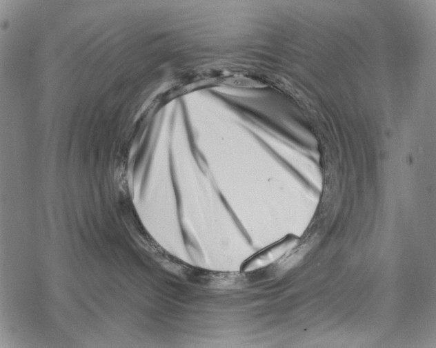 X0000067910096200605111954