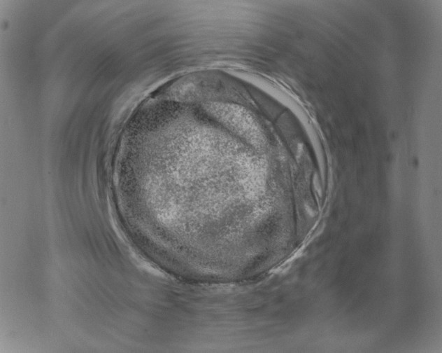 X0000067910097200605111953